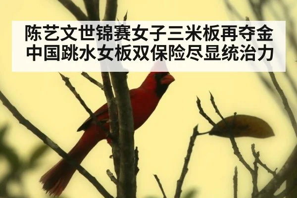陈艺文世锦赛女子三米板再夺金中国跳水女板双保险尽显统治力